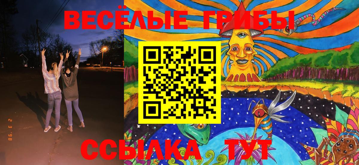 Галлюциногенные грибы ЛСД Касимов