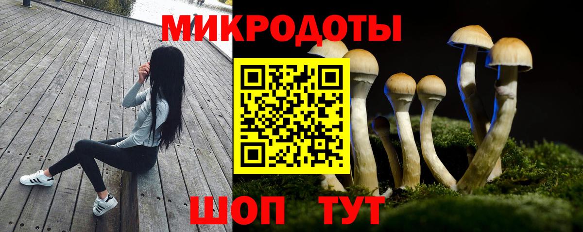 Касимов  Галлюциногенные грибы мухоморы  Вход с VPN  Псилоцибиновые грибы Psilocybe 